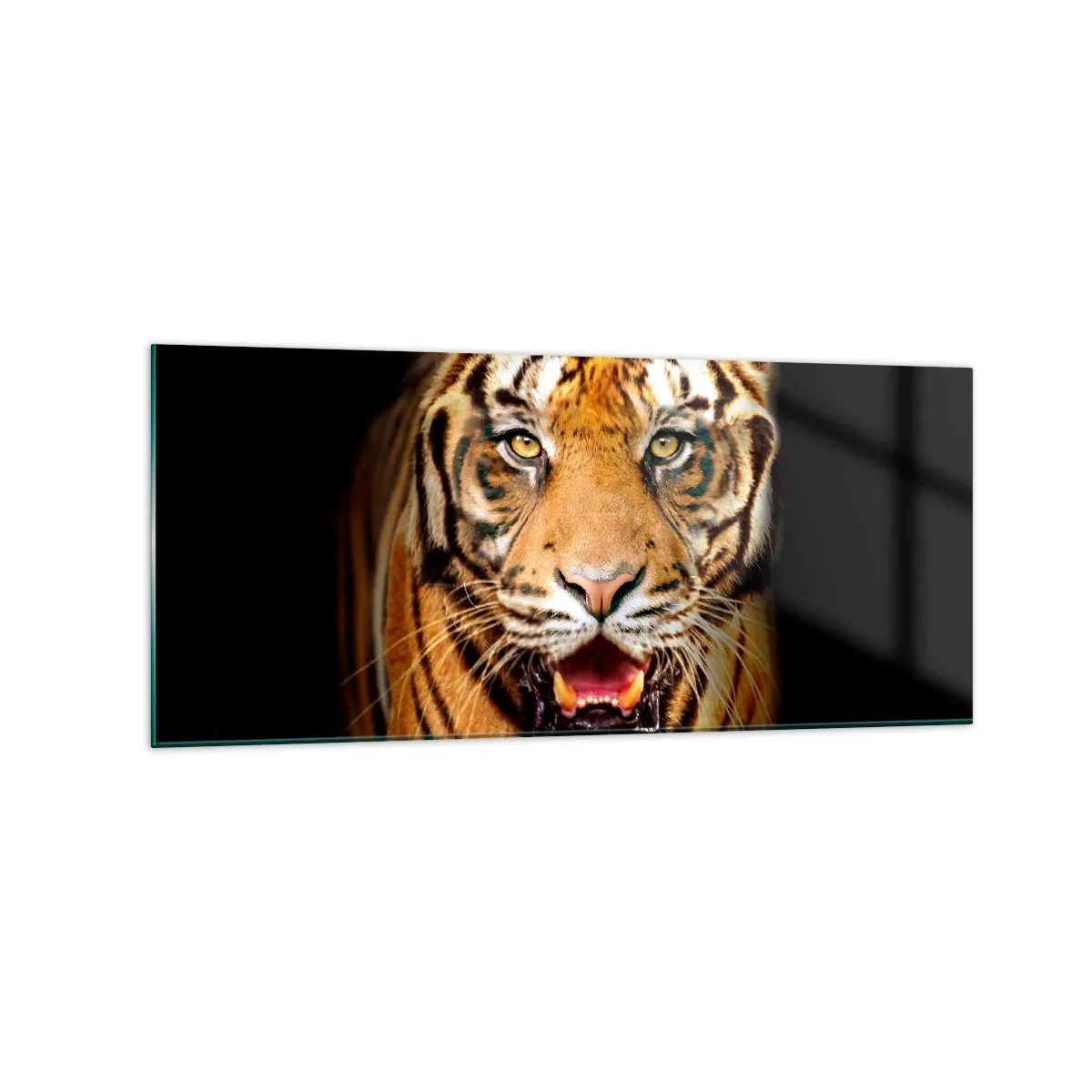 Impression sur verre - Image sur verre - Un tigre avec la gueule ouverte sur un fond noir - 120x50cm - Le coeur sauvageon - Décoration murale moderne pour le salon et la chambre ARTTOR