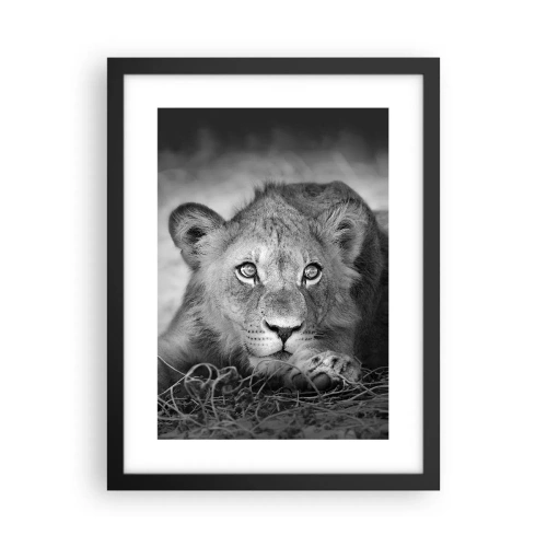 Affiche dans un cadre noir - Poster - Chiot royal - 30x40 cm
