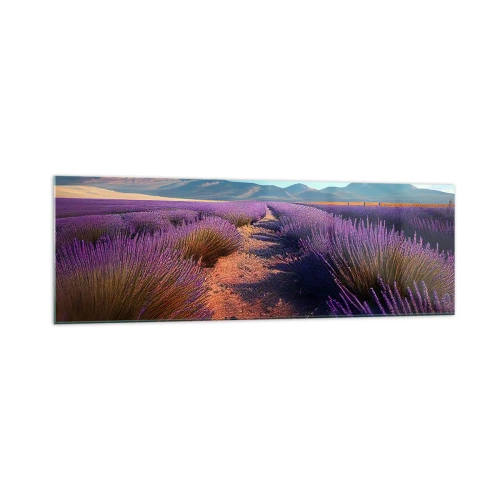 Impression sur verre - Image sur verre - Un champ de lavande avec vue sur les montagnes et le ciel bleu - 160x50cm - Champs parfumés - Décoration murale moderne pour le salon et la chambre ARTTOR