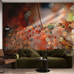 Papier Peint Photo Premium Canvas - Enfilé sur un fil d'araignée - Abstraction, toile d'araignée, Morceau - 250x175 cm