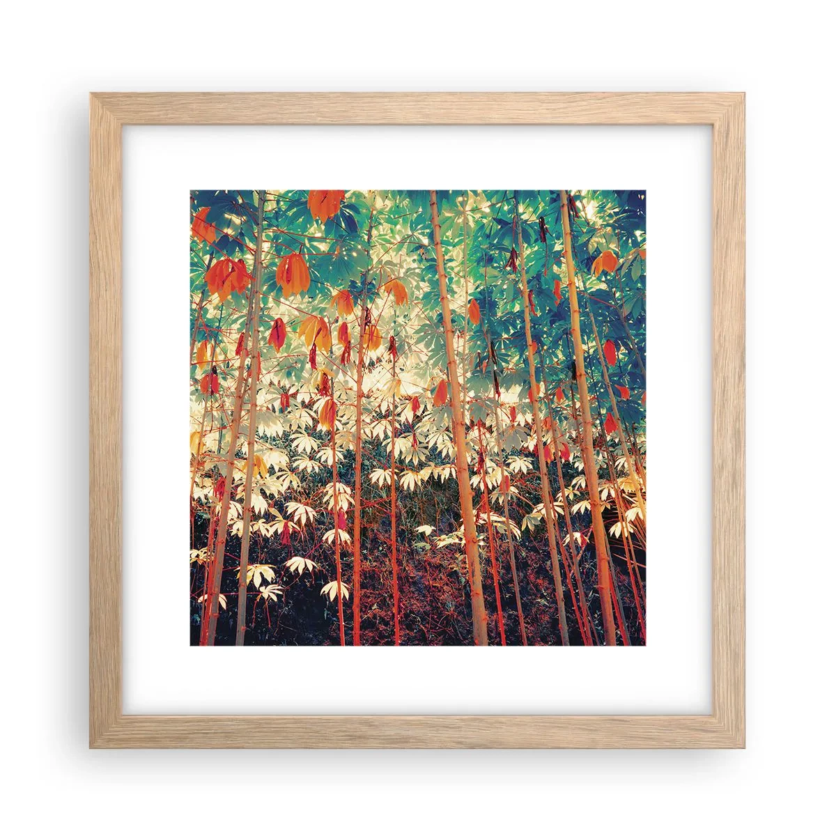 Affiche dans un chêne clair - Poster - La vie secrète des feuilles - 30x30 cm