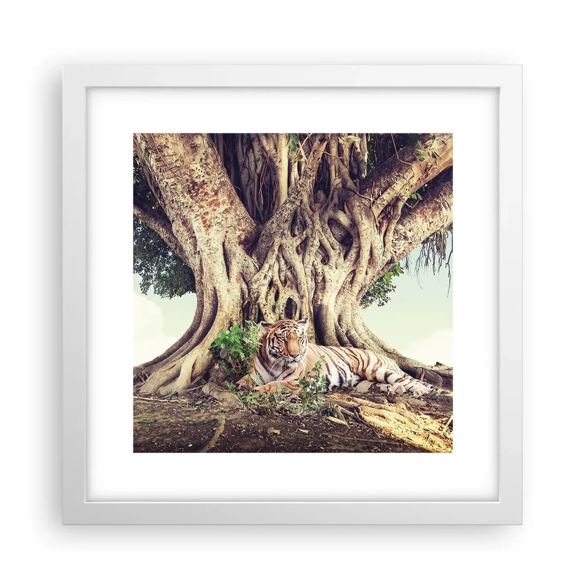 Affiche dans un cadre blanc - Poster - Vue du Livre de la Genèse - 30x30 cm