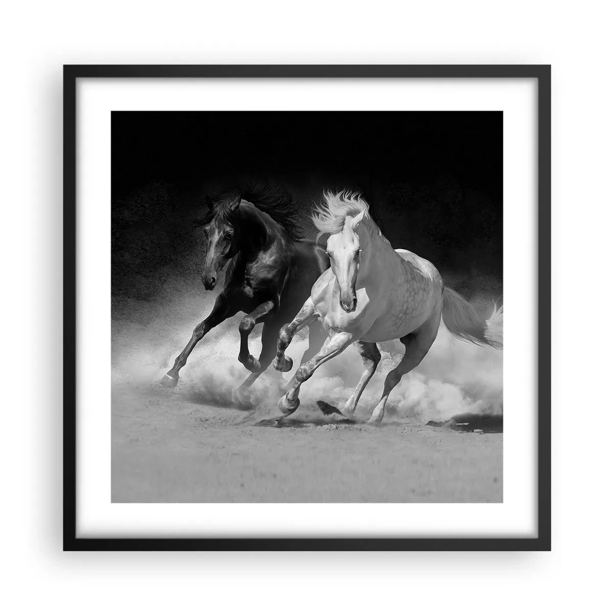 Affiche dans un cadre noir - Poster - Galop de la liberté - 50x50 cm