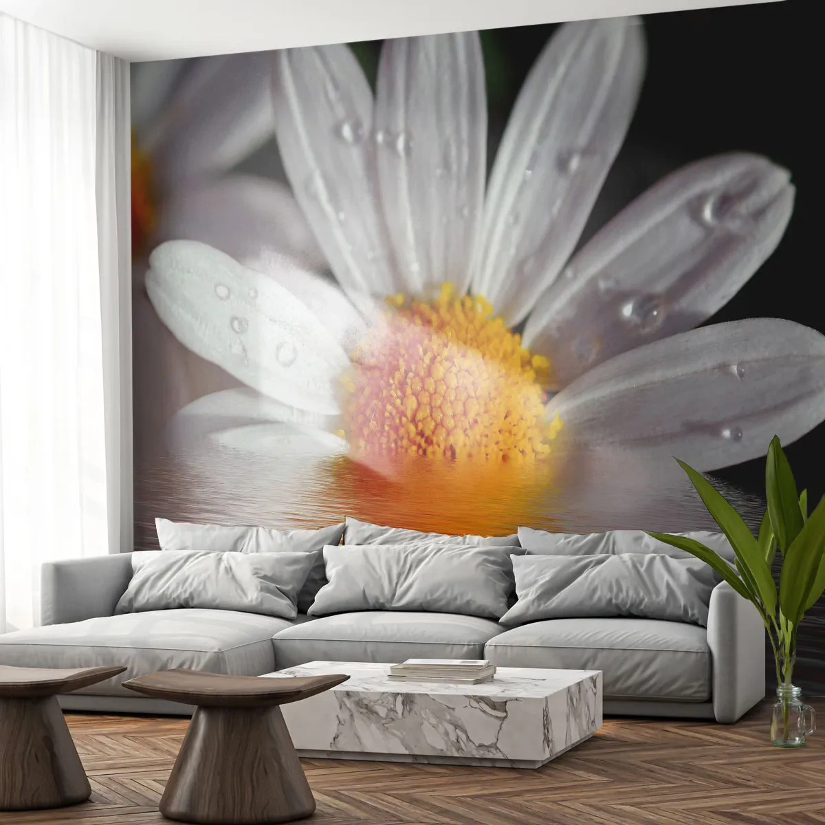 Papier Peint Photo Premium Canvas - Le soleil levant des marguerites - Fleur, Camomille, Nature - 400x280 cm