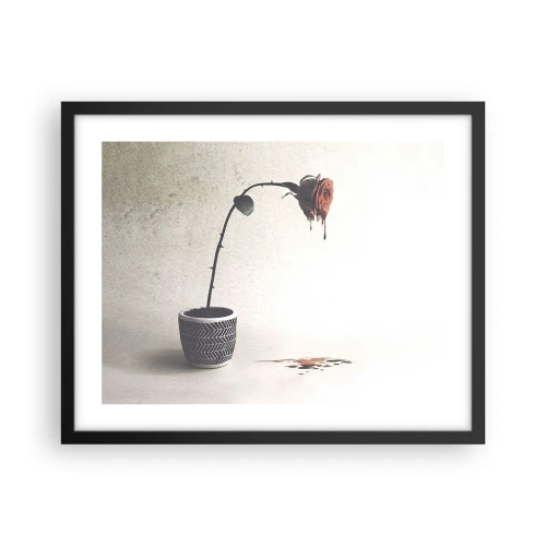 Affiche dans un cadre noir - Poster - Rosa dolorosa - 50x40 cm