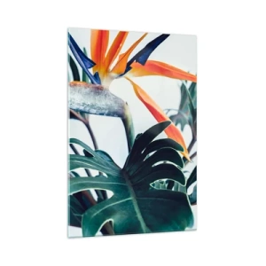 Impression sur verre - Image sur verre - Fleur de Strelitzia entourée de feuilles sous une lumière vive - 70x100cm - Le buisson oiseaux - Décoration murale moderne pour le salon et la chambre ARTTOR