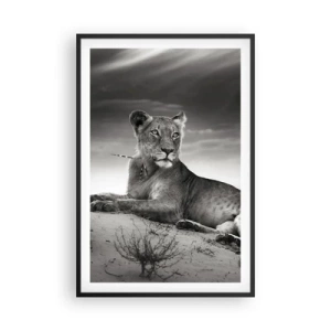 Affiche dans un cadre noir - Poster - La reine du désert reste - 61x91 cm