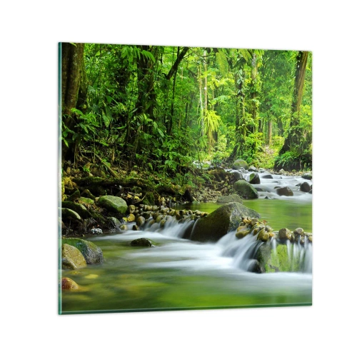 Impression sur verre - Image sur verre - Nager dans un océan de verdure - 60x60 cm