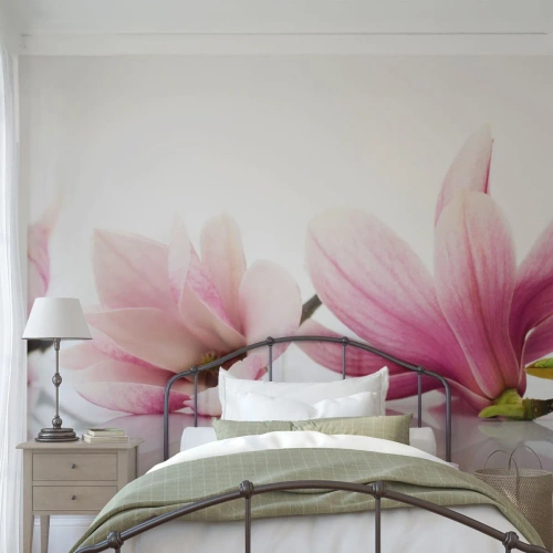 Papier Peint Photo Premium Canvas - Délicat comme une brise de printemps - Fleur, Magnolia, Nature - 250x175 cm