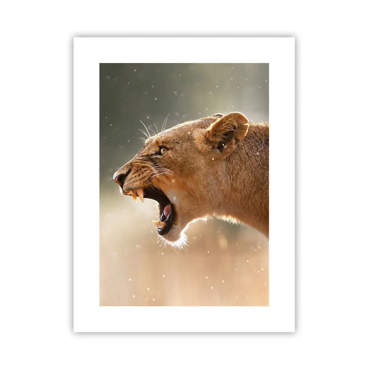 Affiche - Poster - Essayez  de ne pas écouter - 30x40 cm