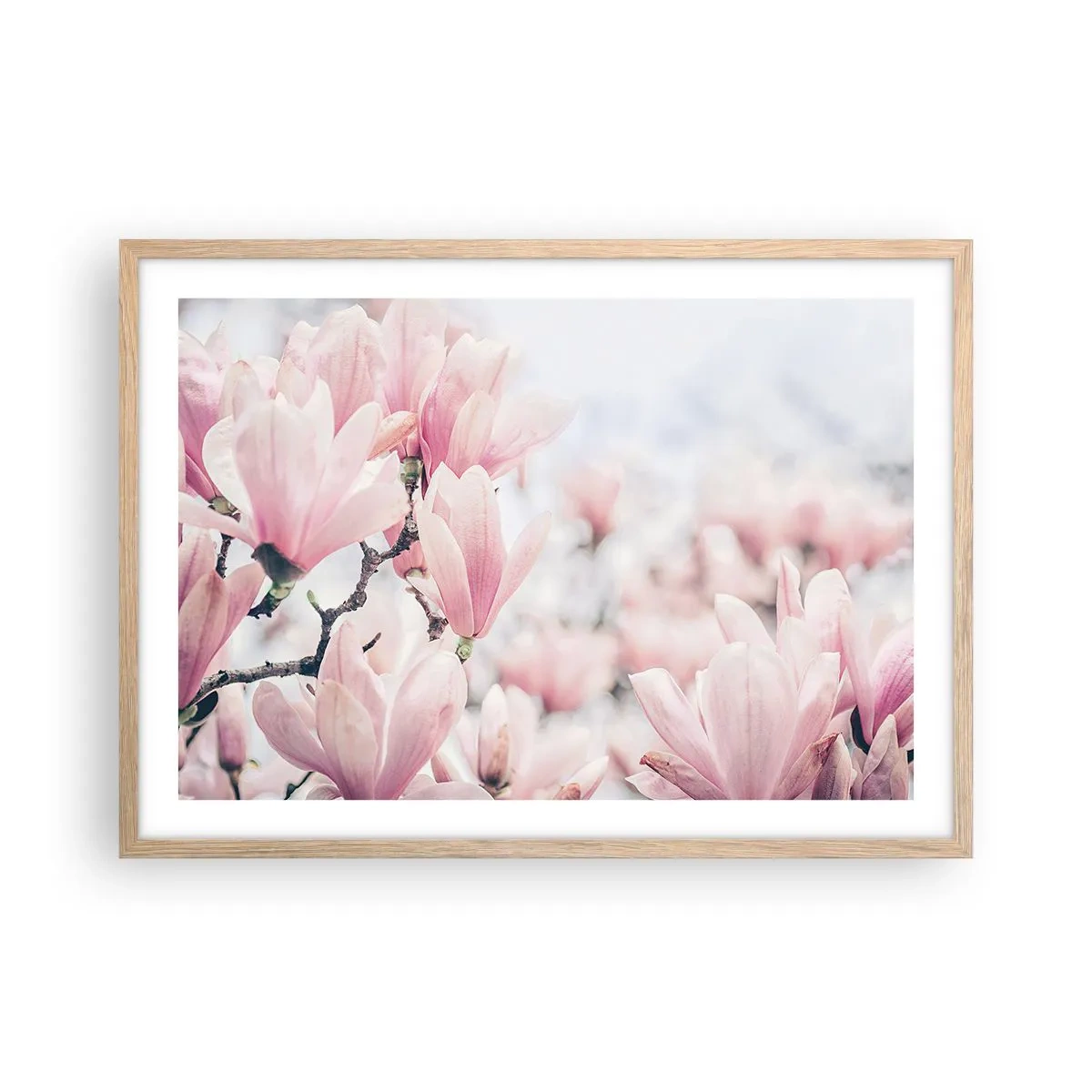 Affiche dans un chêne clair - Poster - Idéal de la subtilité - 70x50 cm