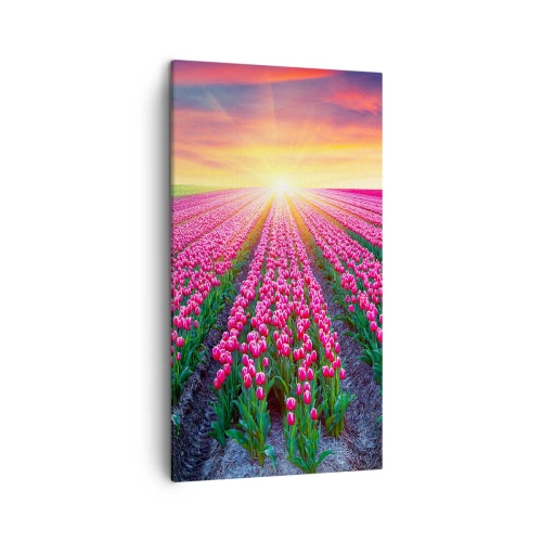 Impression sur toile - Image sur toile - Ferme de la beauté - 45x80 cm