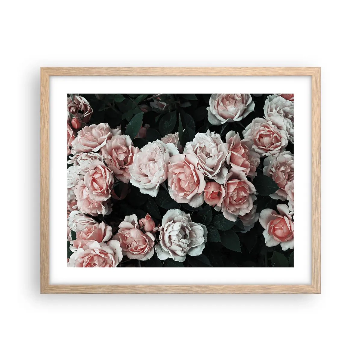 Affiche dans un chêne clair - Poster - Ensemble de rose - 50x40 cm