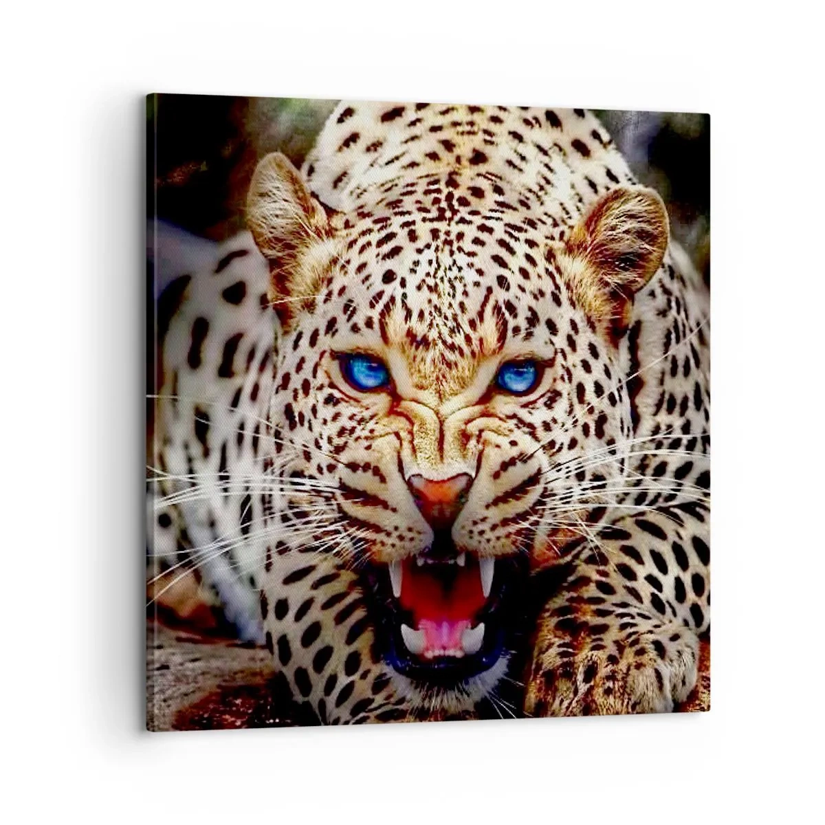 Impression sur toile - Image sur toile - La colère de la beauté ne fait pas de mal - 60x60 cm