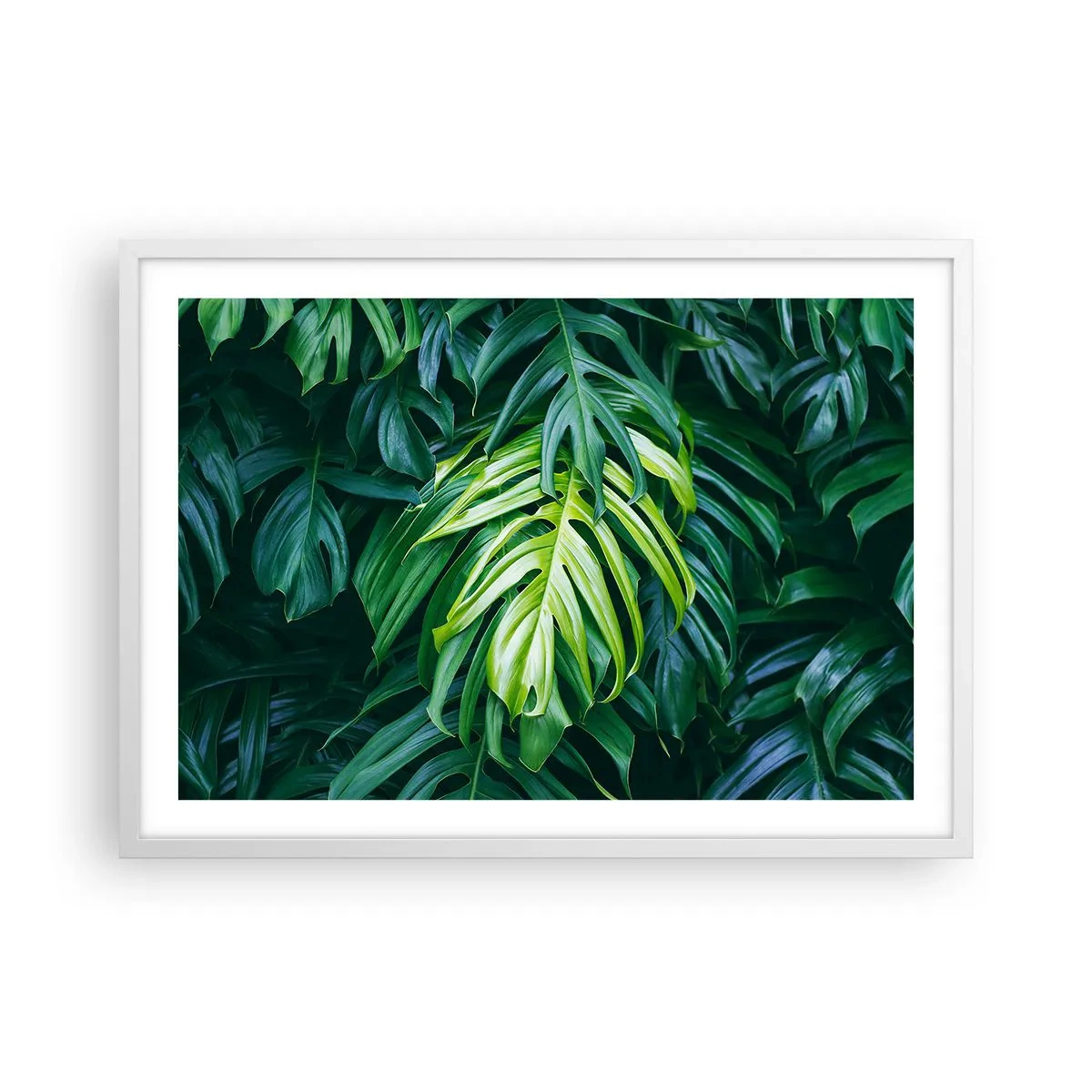 Affiche dans un cadre blanc - Poster - Immergez-vous dans la fraîcheur - 70x50 cm