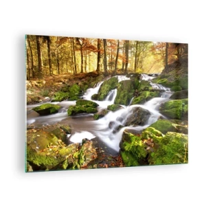 Impression sur verre - Image sur verre - Un ruisseau forestier avec des cascades dans un paysage d'automne - 70x50cm - Rapidement à travers la forêt d'automne - Décoration murale moderne pour le salon et la chambre ARTTOR