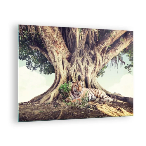 Impression sur verre - Image sur verre - Un tigre couché sous un arbre étendu dans la jungle - 70x50cm - Vue du Livre de la Genèse - Décoration murale moderne pour le salon et la chambre ARTTOR