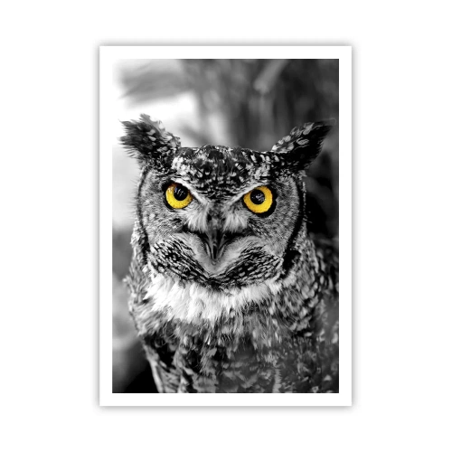 Affiche - Poster - Rien ne se cachera - 70x100 cm