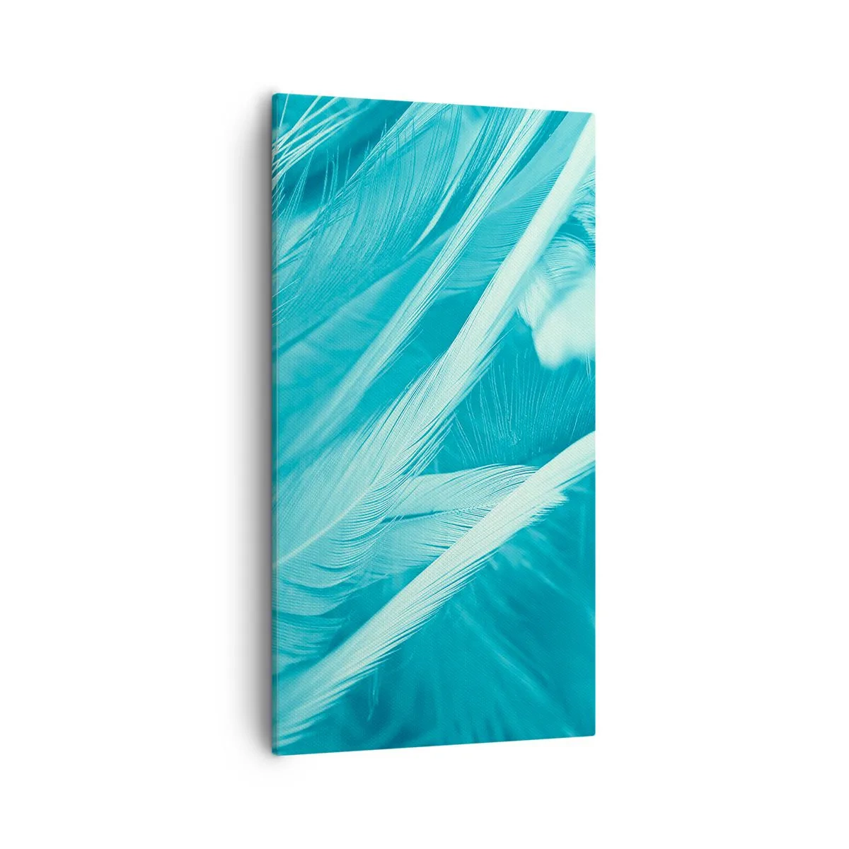 Impression sur toile - Image sur toile - Se noyer dans les plumes - 55x100 cm