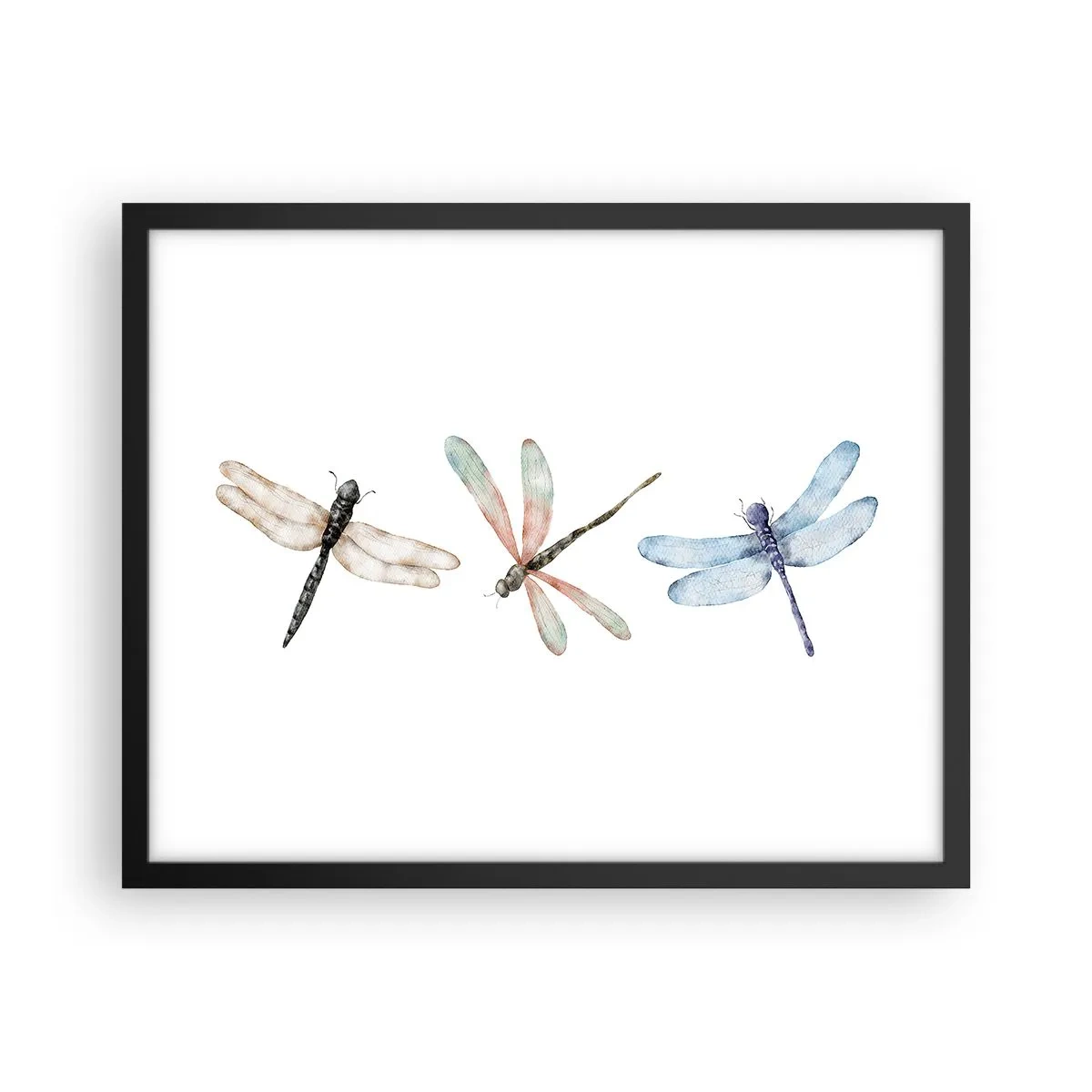Affiche dans un cadre noir - Poster - Libellules en apesanteur - 50x40 cm