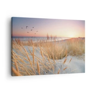 Impression sur toile - Image sur toile - Plage au coucher du soleil avec de hautes herbes - 70x50cm - Berceuse baltique - Décoration murale moderne pour le salon et la chambre ARTTOR
