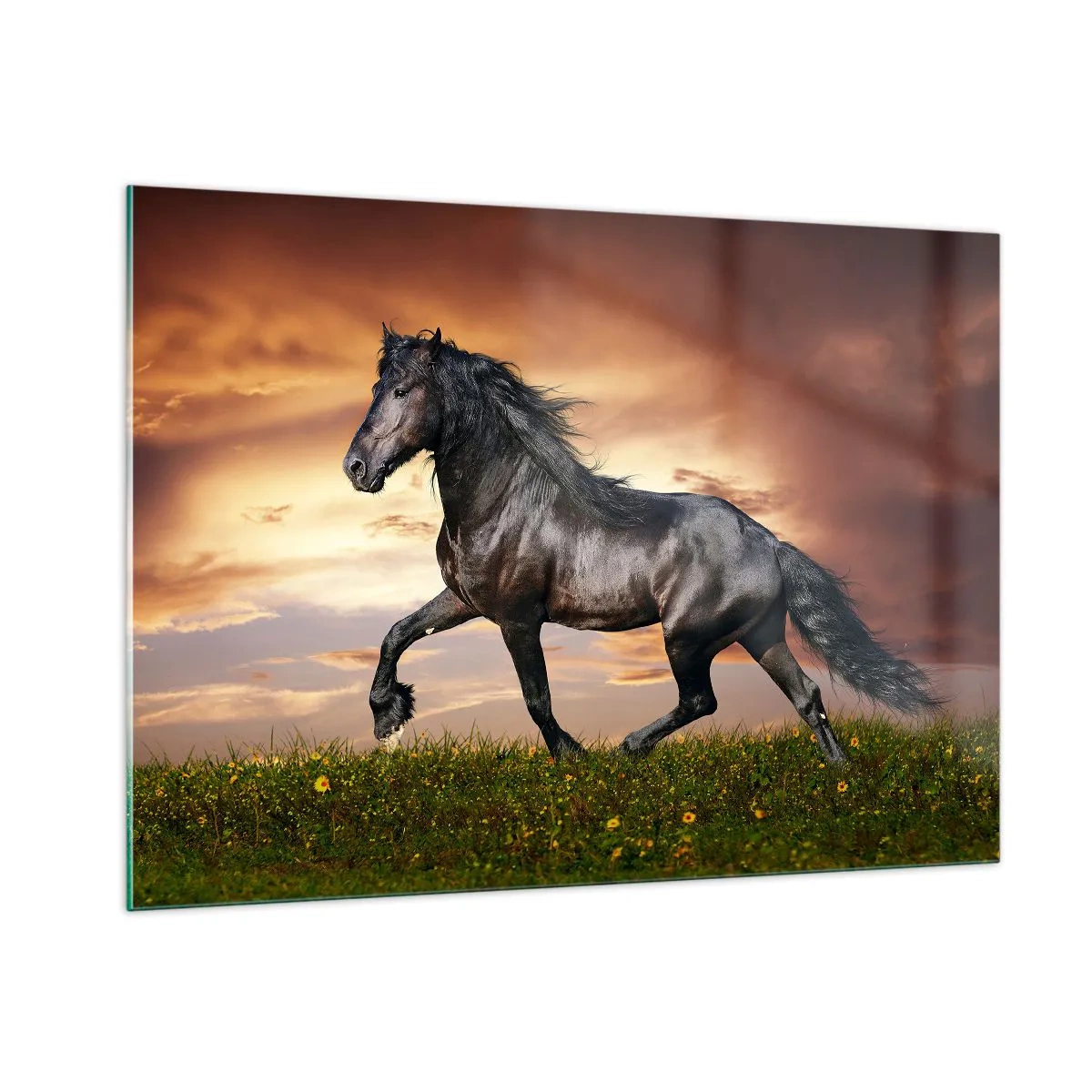 Impression sur verre - Image sur verre - Un cheval noir galopant contre le soleil couchant - 100x70cm - Livres noirs - Décoration murale moderne pour le salon et la chambre ARTTOR