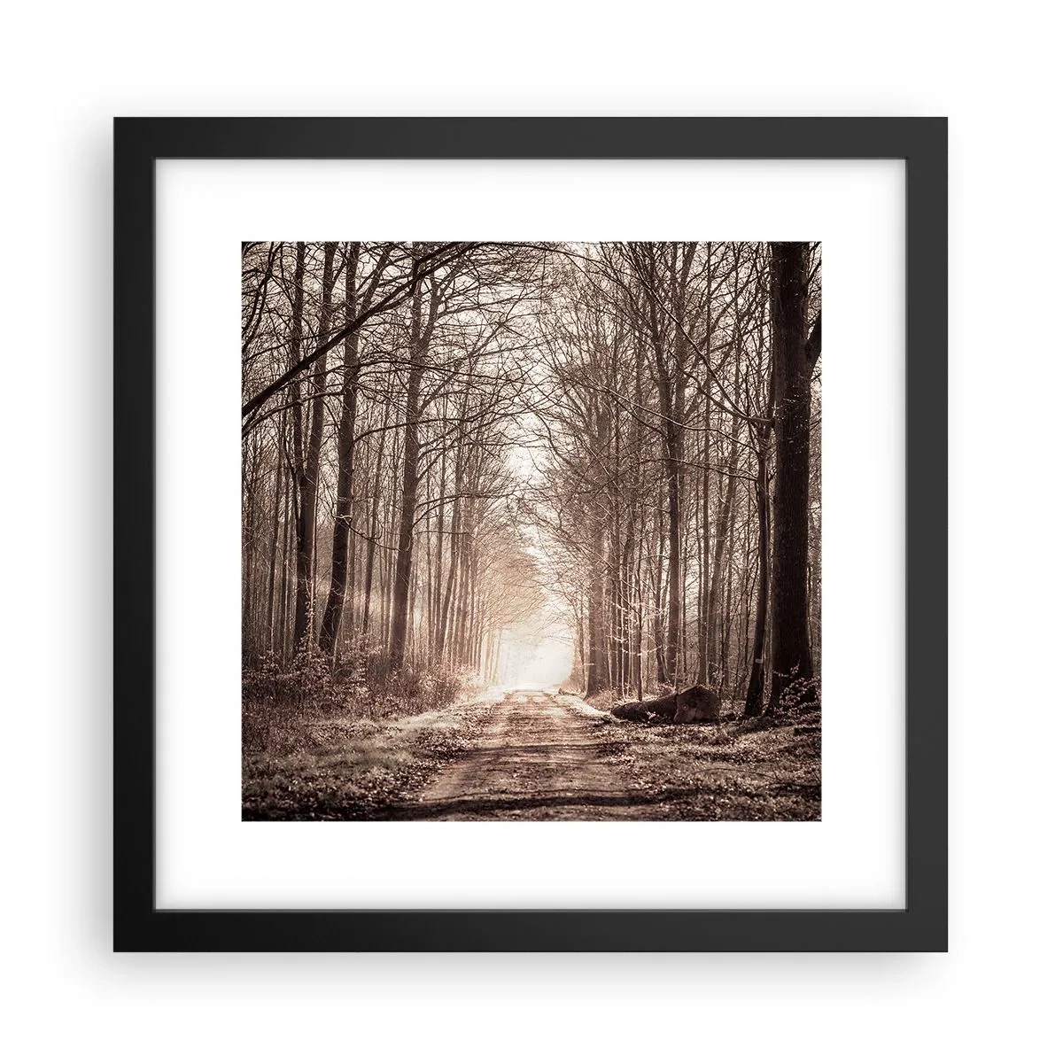 Affiche dans un cadre noir - Poster - Cathédrale de la forêt - 30x30 cm