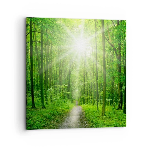 Impression sur toile - Image sur toile - Cathédrale verte - 70x70 cm