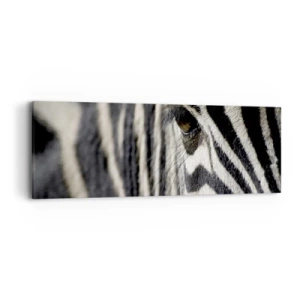 Impression sur toile - Image sur toile - Portrait en rayure - 90x30 cm