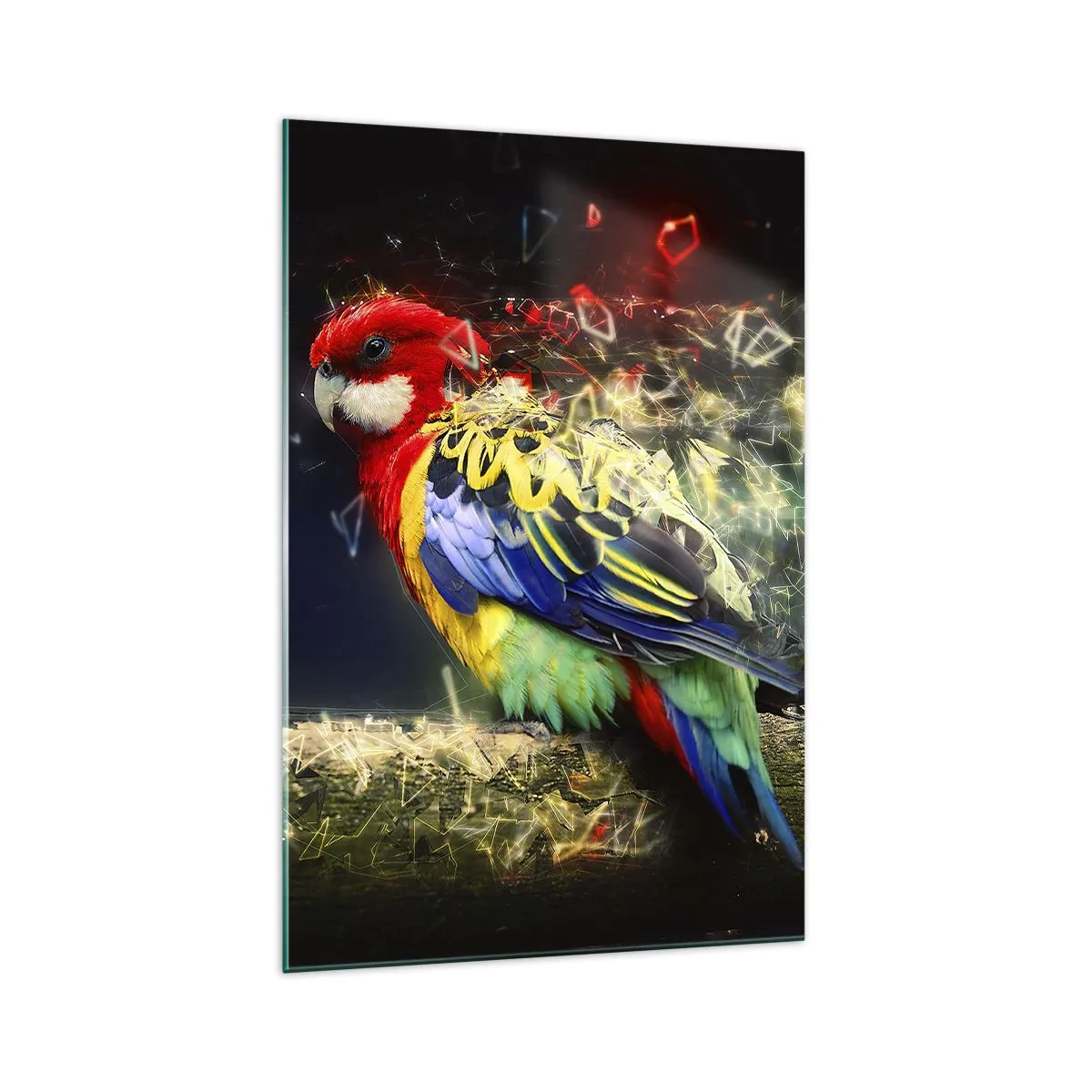 Impression sur verre - Image sur verre - Un perroquet aux couleurs vives sur un fond d'effets de lumière - 70x100cm - Messager d'éclat - Décoration murale moderne pour le salon et la chambre ARTTOR