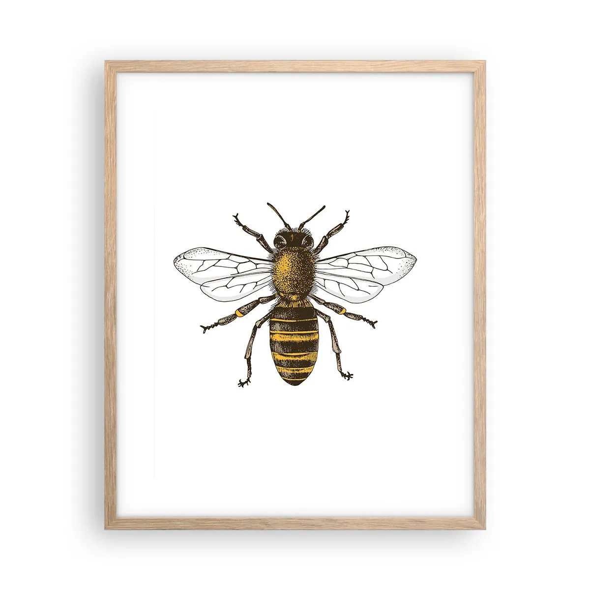 Affiche dans un chêne clair - Poster - Belle et bonne - 40x50 cm