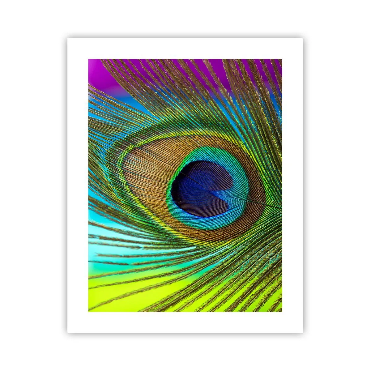 Affiche - Poster - Les yeux dans les yeux - 40x50 cm