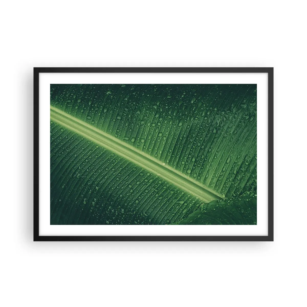 Affiche dans un cadre noir - Poster - Une feuille verte avec des gouttes d'eau à sa surface - 70x50cm - Structure de vert - Décoration murale moderne pour le salon et la chambre ARTTOR