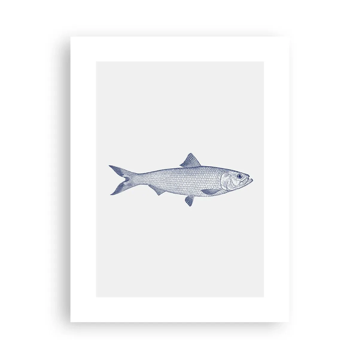 Affiche - Poster - Salutations des mers du nord - 30x40 cm