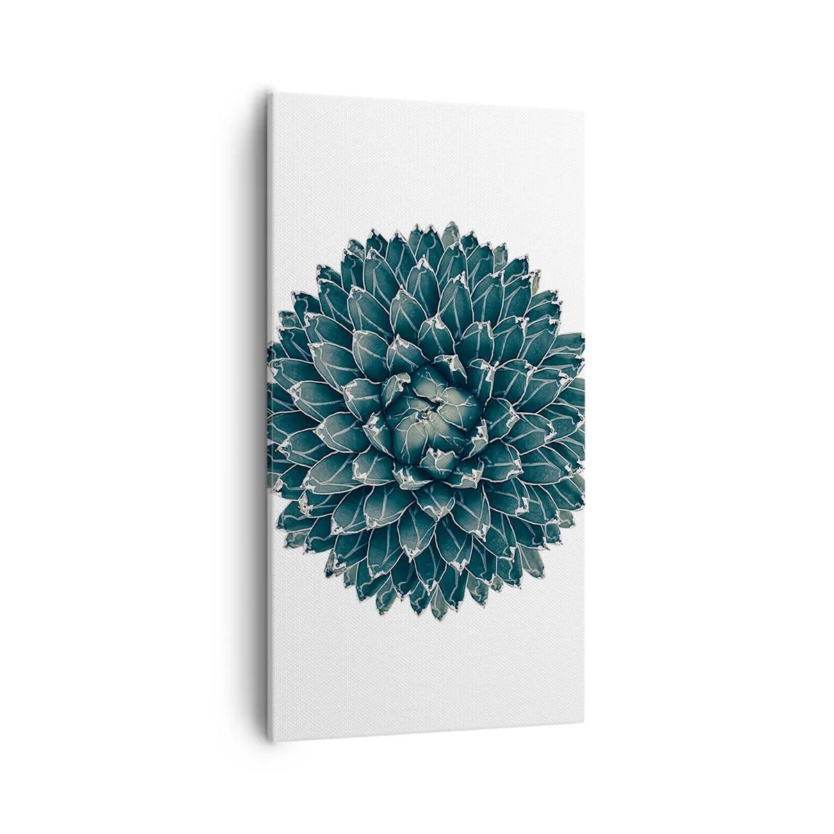 Impression sur toile - Image sur toile - Étoile du désert - 55x100 cm