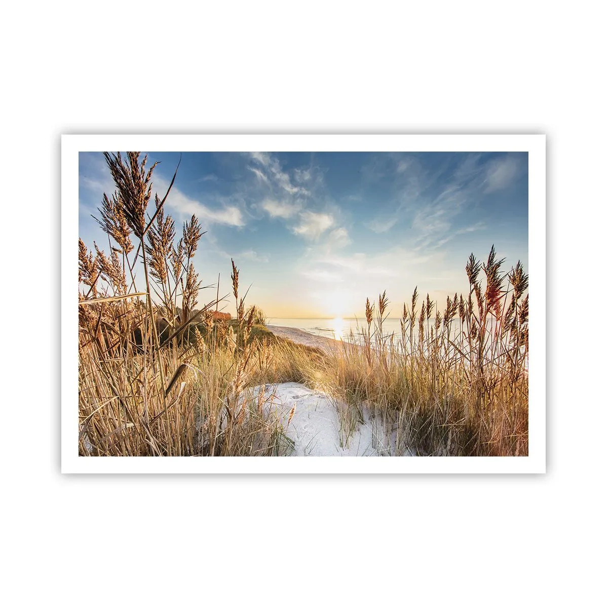 Affiche - Poster - Une plage pittoresque avec de l'herbe et le soleil couchant - 100x70cm - Plage du nord - Décoration murale moderne pour le salon et la chambre ARTTOR