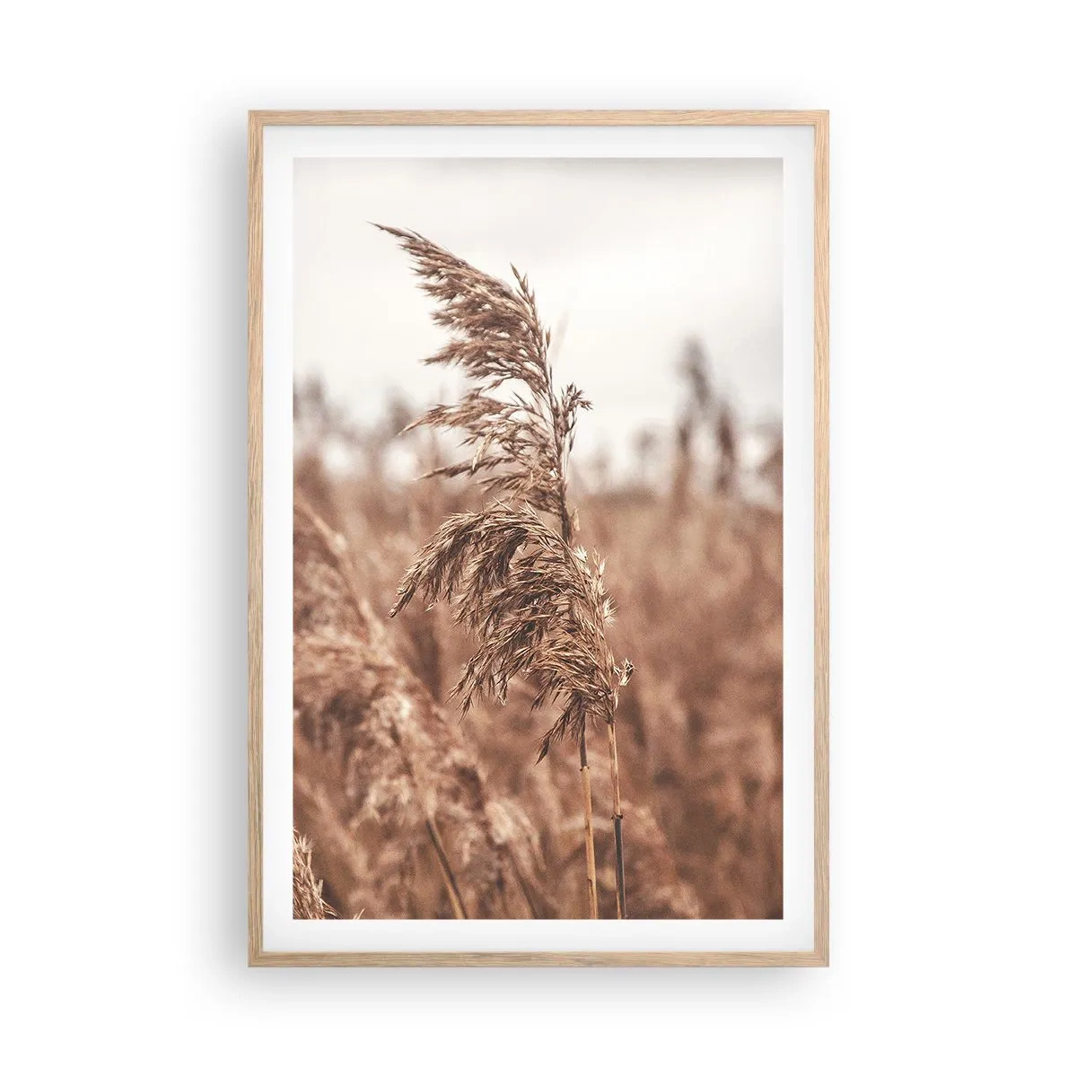 Affiche dans un chêne clair - Poster - C'est déjà l'automne dans les champs - 61x91 cm