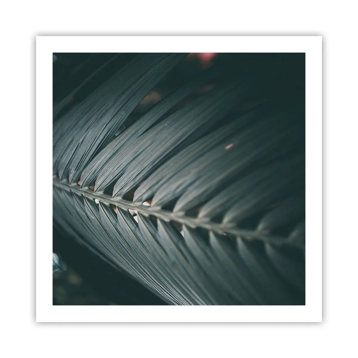 Affiche - Poster - Précision de la nature - 60x60 cm