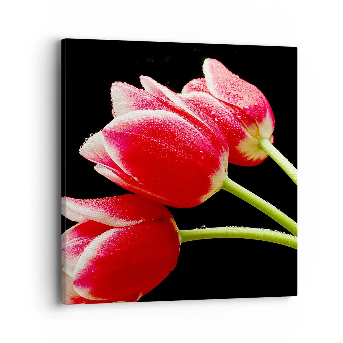 Impression sur toile - Image sur toile - Une promesse d'amour pur - 40x40 cm