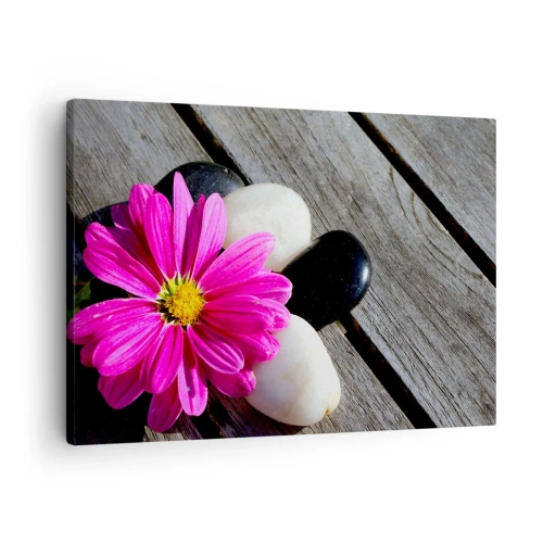 Impression sur toile - Image sur toile - Fleur rose sur un fond de planches de bois avec des pierres - 70x50cm - Repos sur la jetée - Décoration murale moderne pour le salon et la chambre ARTTOR