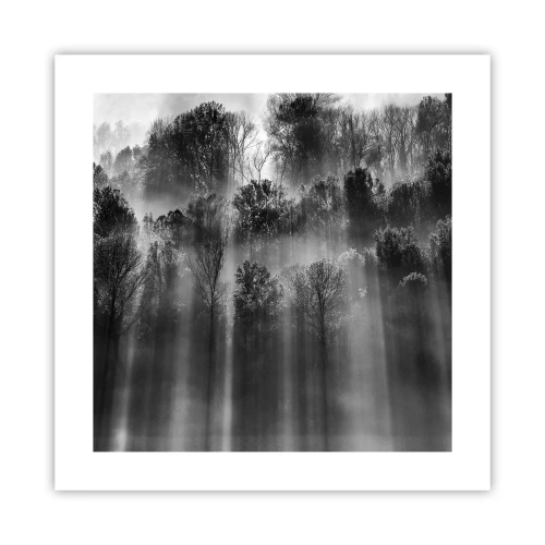 Affiche - Poster - Dans les flots de lumière - 40x40 cm