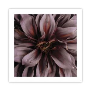 Affiche - Poster - Un coeur fleuri - 50x50 cm