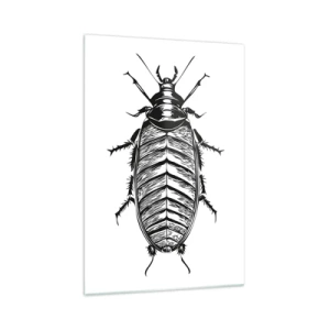 Impression sur verre - Image sur verre - Graphique d'un insecte noir et blanc sur fond blanc - 70x100cm - Quel spécimen! - Décoration murale moderne pour le salon et la chambre ARTTOR