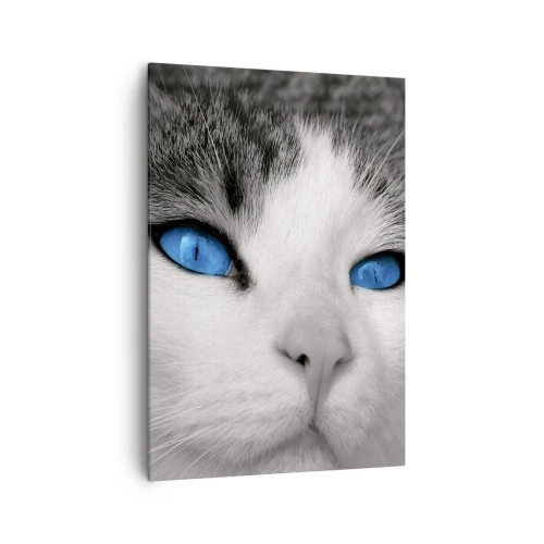 Impression sur toile - Image sur toile - Portrait d'un chat aux yeux bleus en noir et blanc - 70x100cm - Yeux bleus inhabituels - Décoration murale moderne pour le salon et la chambre ARTTOR