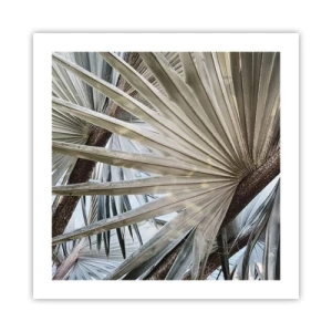 Affiche - Poster - Evantail sous les tropiques - 50x50 cm