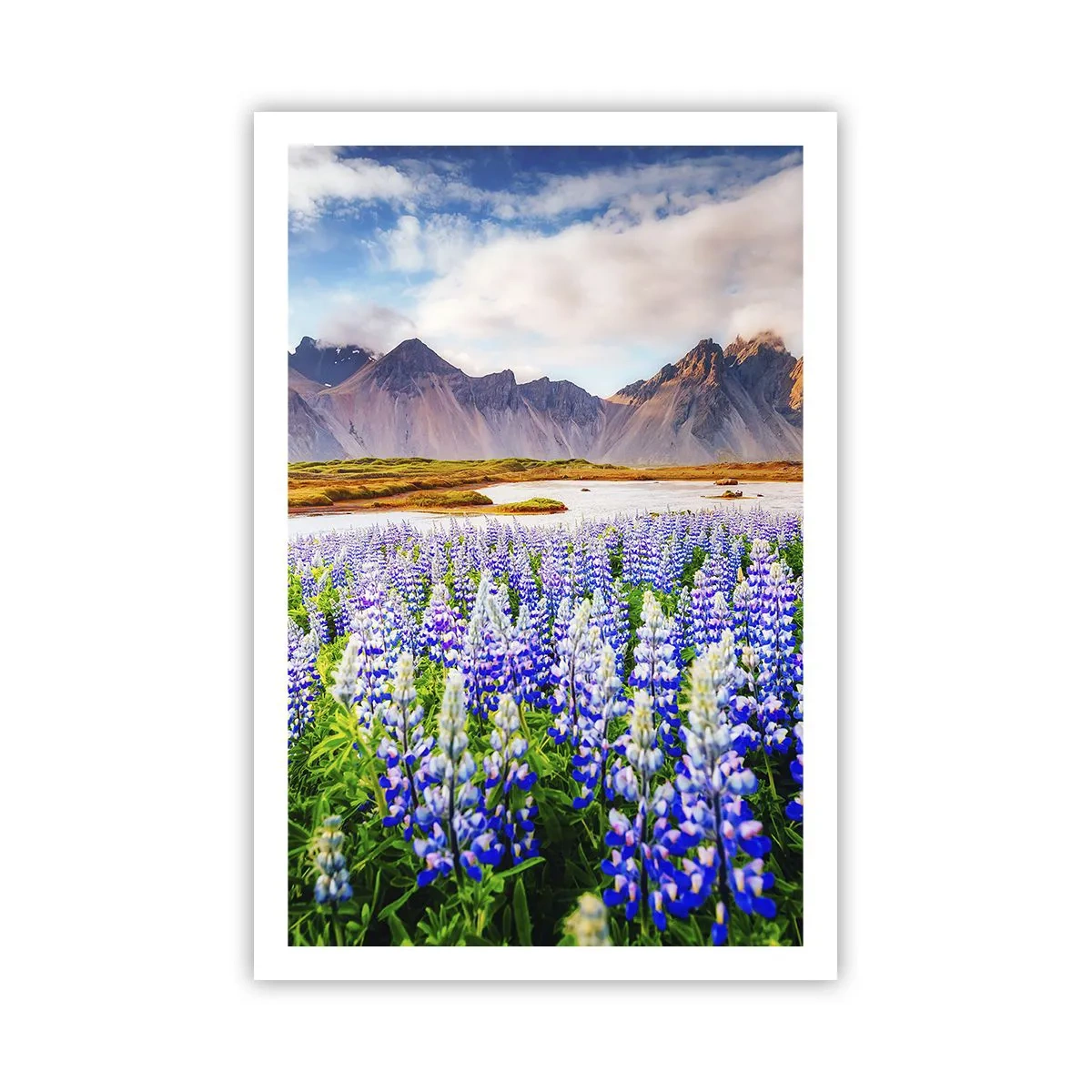 Affiche - Poster - La force et l'austérité côtoient la douceur - 61x91 cm