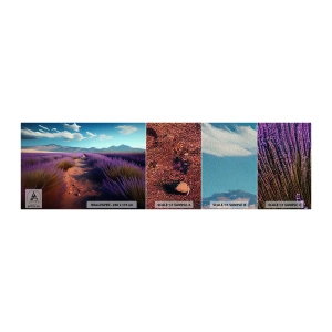 Échantillon de Papier Peint Premium Sand - Champs parfumés - Lavande, Horizon, Paysage - 100x30 cm