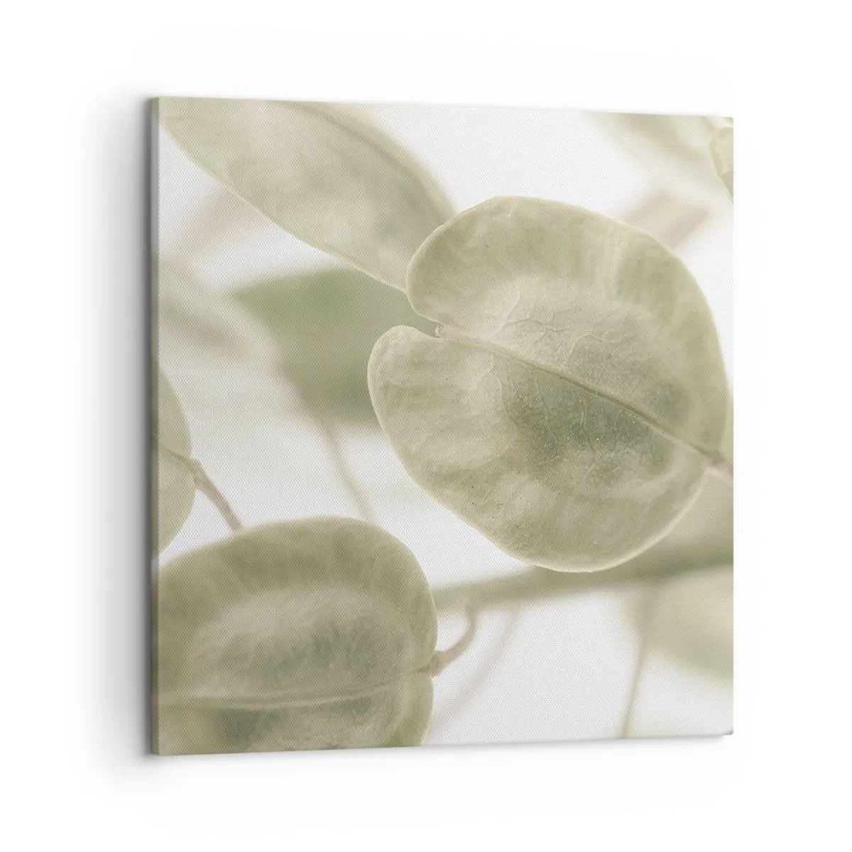 Impression sur toile - Image sur toile - Au commencement il y avait des feuilles... - 50x50 cm