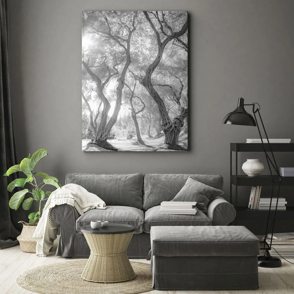 Impression sur toile - Image sur toile - Vue en noir et blanc d'arbres dans une oliveraie avec des rayons de soleil - 80x120cm - Dans l'oliveraie - Décoration murale moderne pour le salon et la chambre ARTTOR