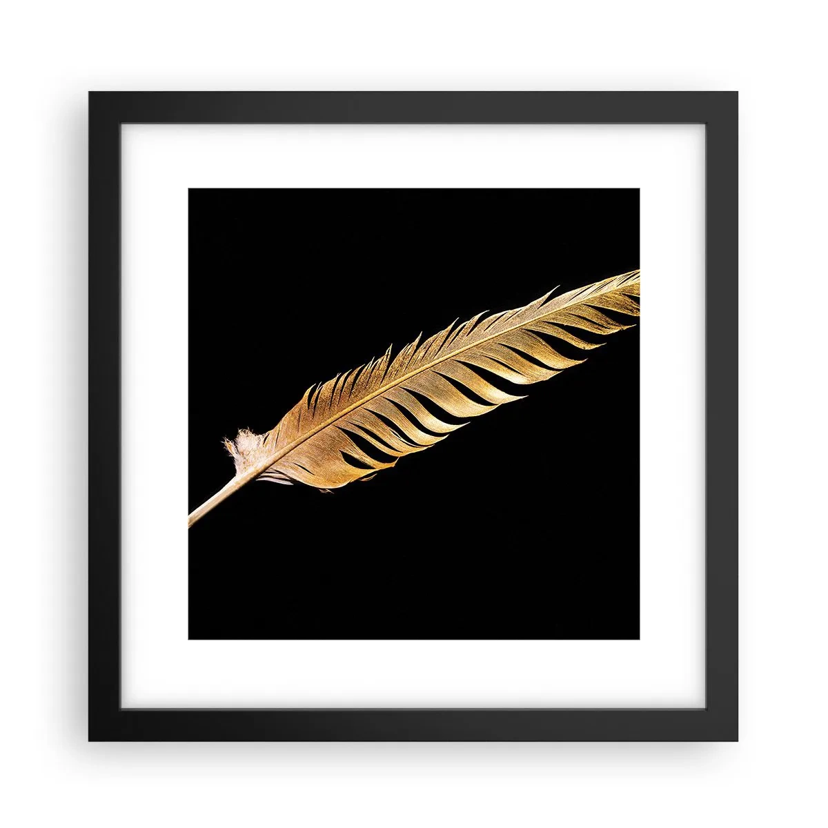 Affiche dans un cadre noir - Poster - Sans porte-plume - 30x30 cm